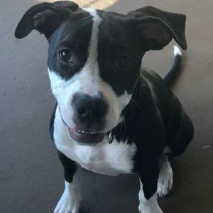 Meet your Posher, Nicholas